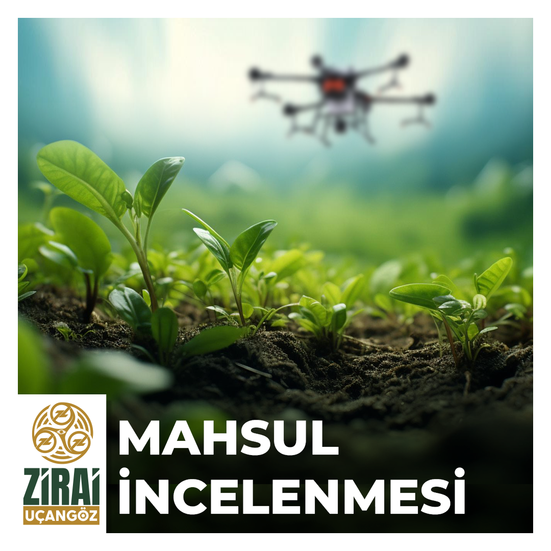 Drone ile mahsul analizi ve NDVI haritalama – Hassas tarım teknolojileriyle tarlanızın verimliliğini artırın.