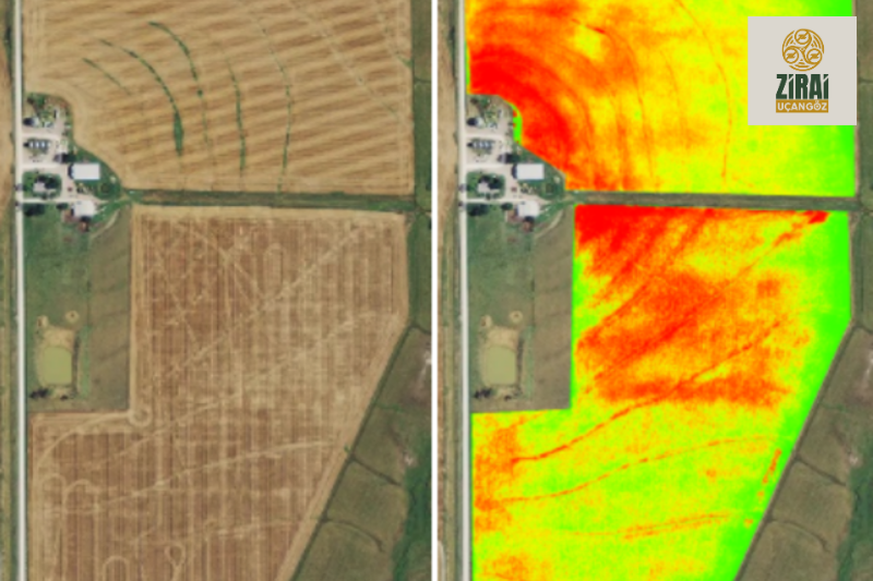 Drone ile tarım arazisi analizi – NDVI haritalama ve multispektral görüntüleme kullanılarak bitki sağlığı değerlendirmesi.