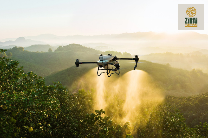 Zirai Uçangöz dronları ile sürdürülebilir tarım ilaçlama uygulaması.